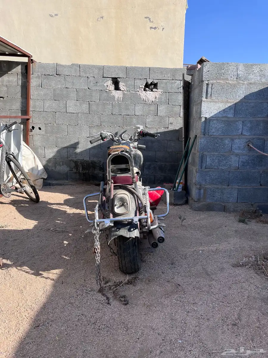 دباب للبيع 6