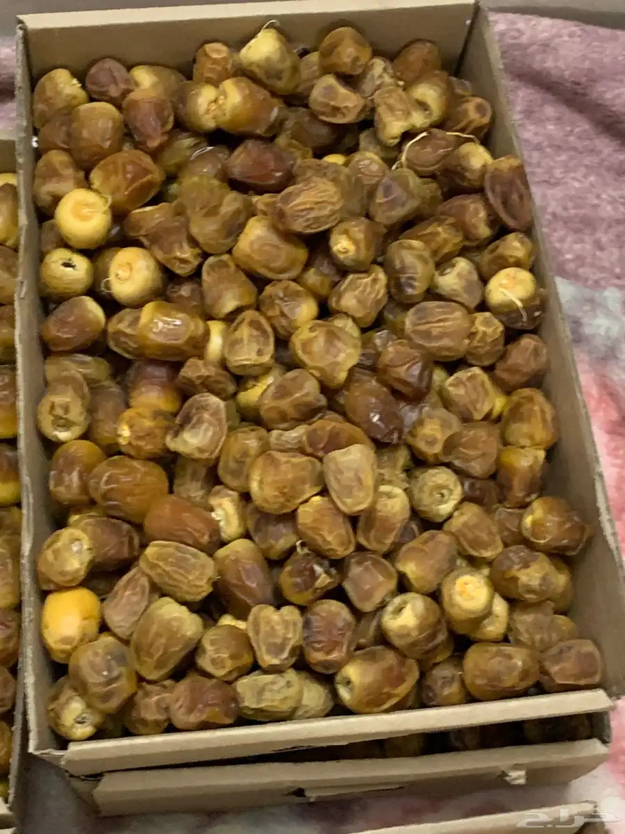 رطب سكري فاخر كميه محدوده 2