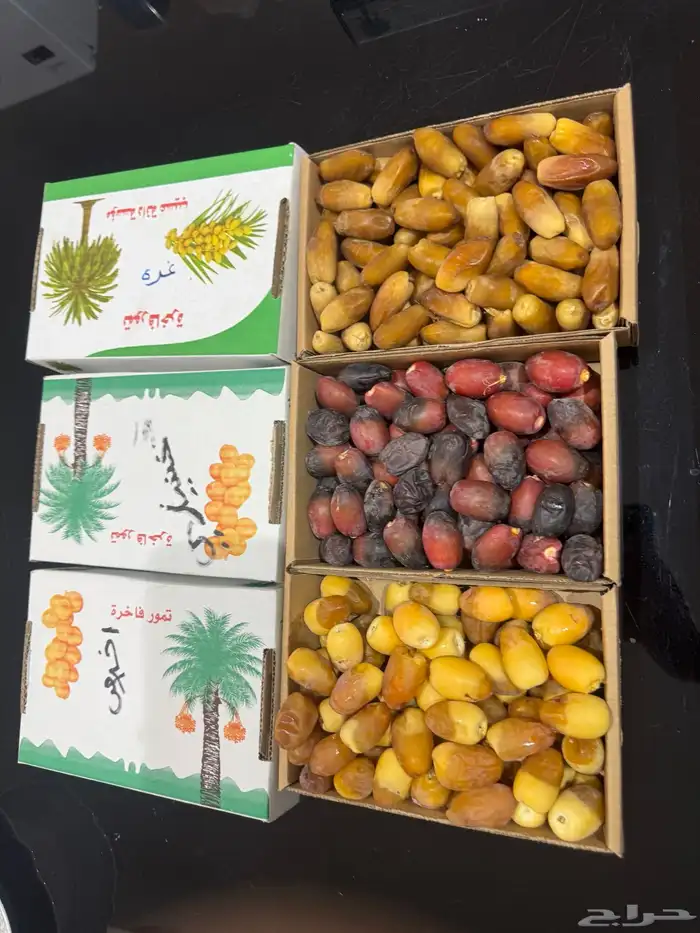 تمر سلج واخلاص وخنيزي وغره للبيع 2