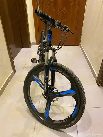 سيكل 13