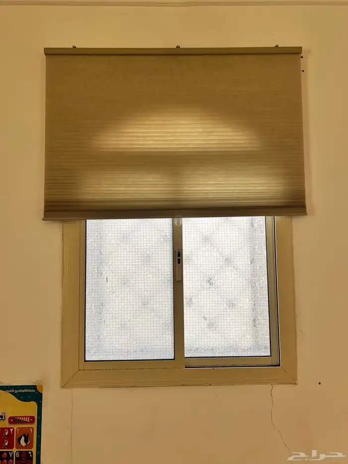 ستارة ايكيا 1