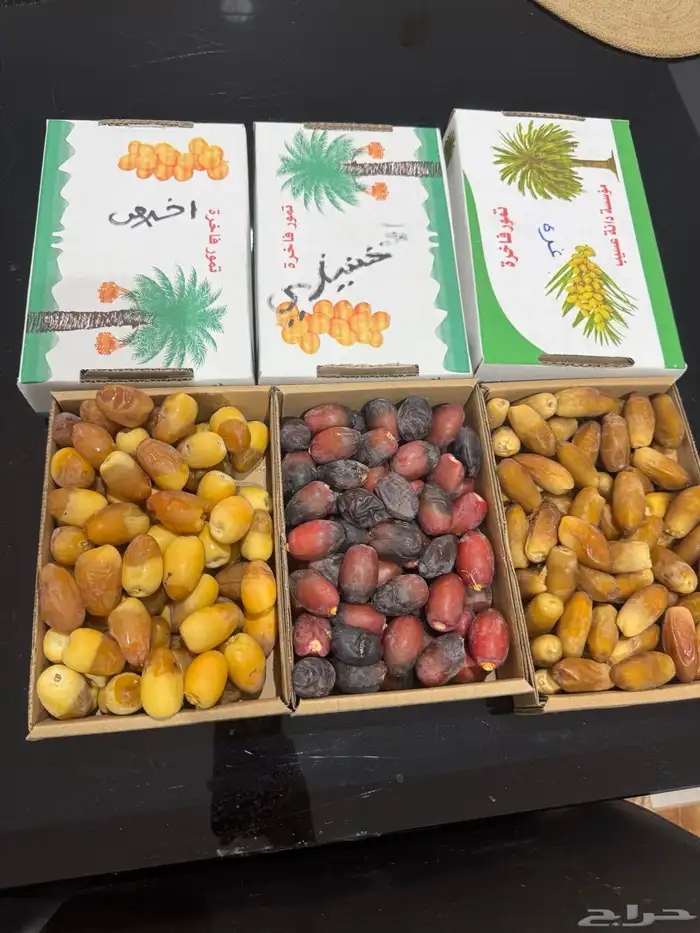 تمر سلج واخلاص وخنيزي وغره للبيع 3