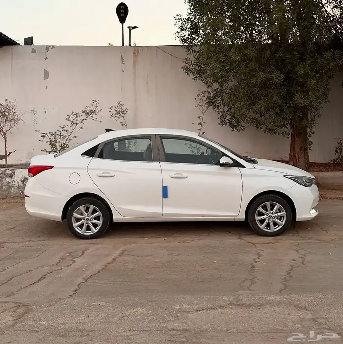 شانجان السفن 2025 فل كامل اصفار 5