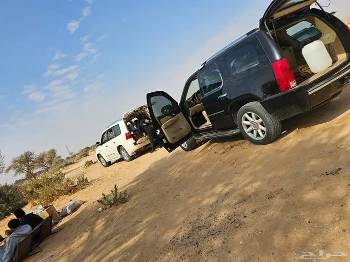 جمس دينالي 2007 1