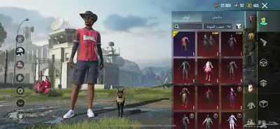 حساب ببجي للبيع 2