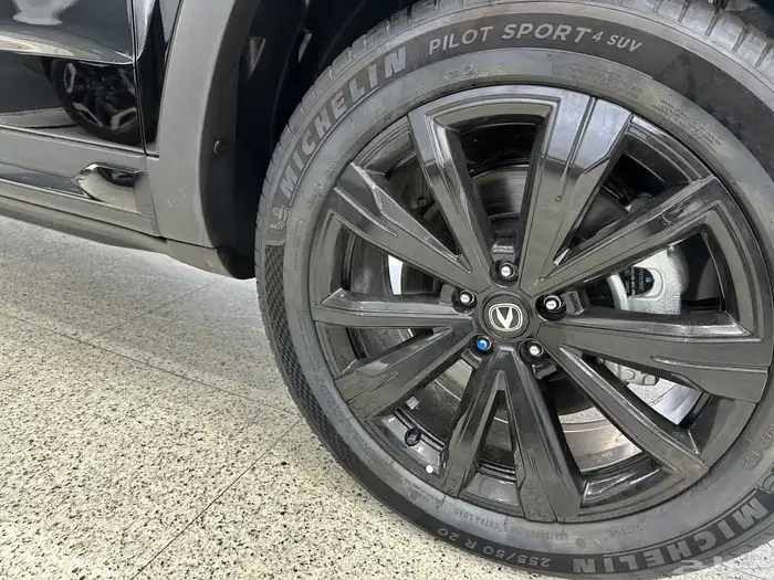 شاحنات CS95 رويال بلاك 1