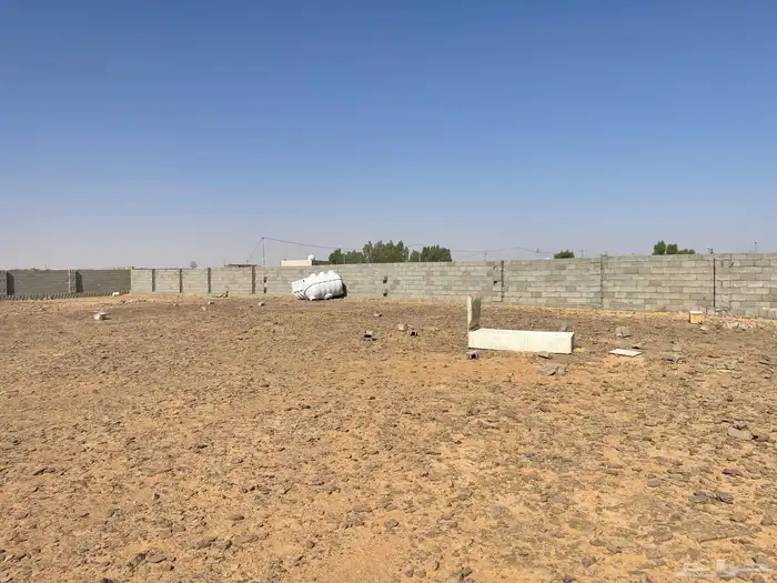 حوش بالهجن 50ب50 7