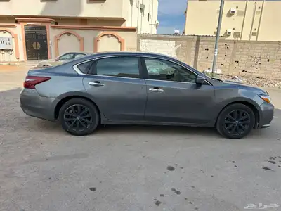نسيان التيما 2018 نص فل 2