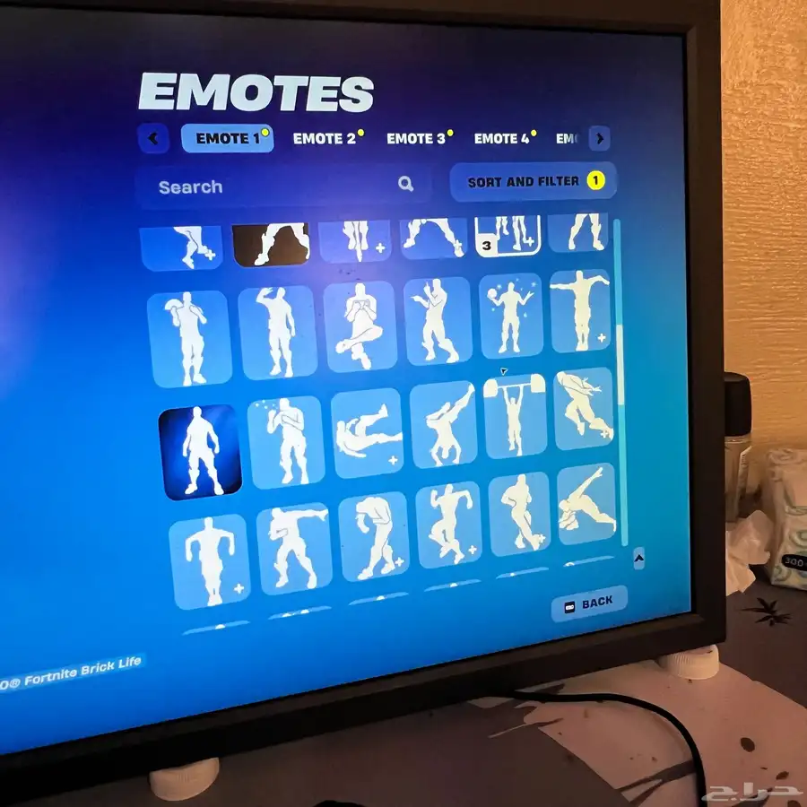 حساب فورتنايت للبيع السيزون الخامس وسكنات طور الزومبي القديم 32