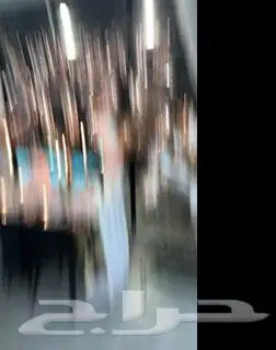 نخله تفاحتين 0