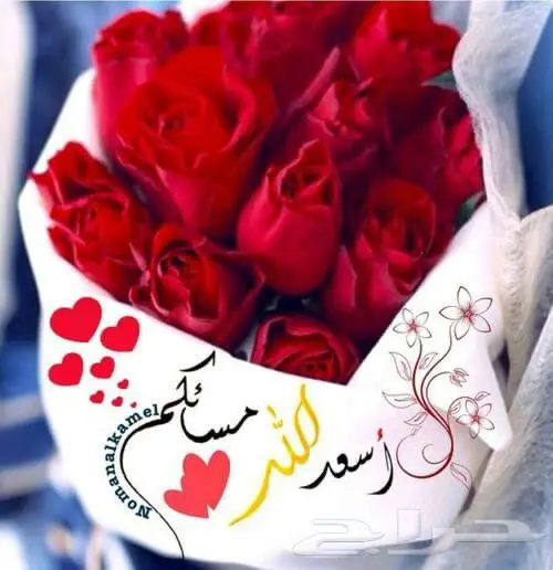 ورد بسعر الجمله 0