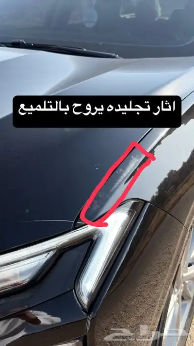 فورد تورس 2024 ترند الدفعة الثانية 5