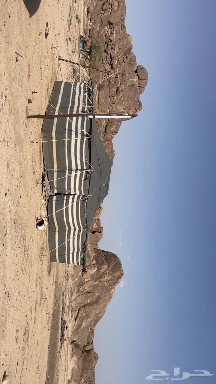 بيت شعر 8 5 ومطبخ 2 3 للبيع 4