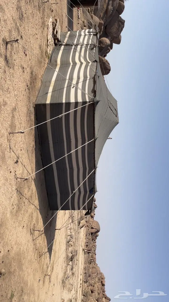 بيت شعر 8 5 ومطبخ 2 3 للبيع 9