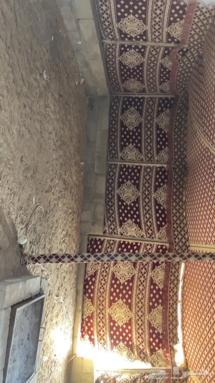 بيت شعر 8 5 ومطبخ 2 3 للبيع 7
