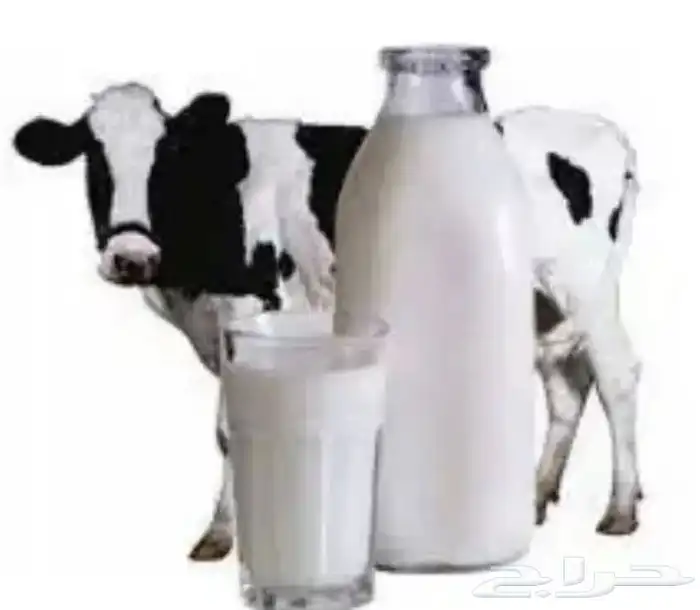 حليب 0