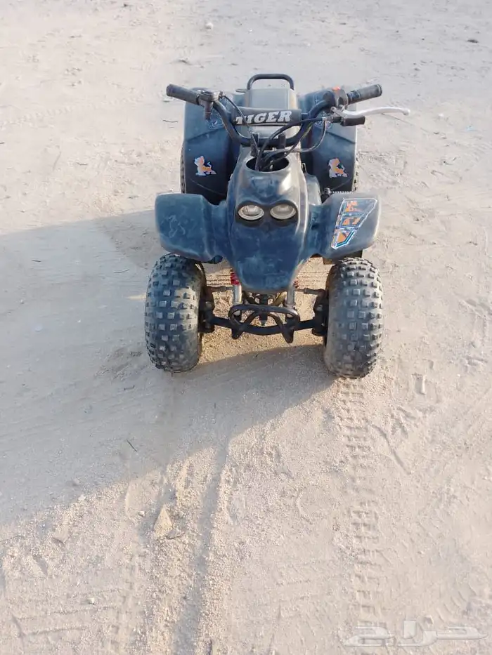 دباب 2