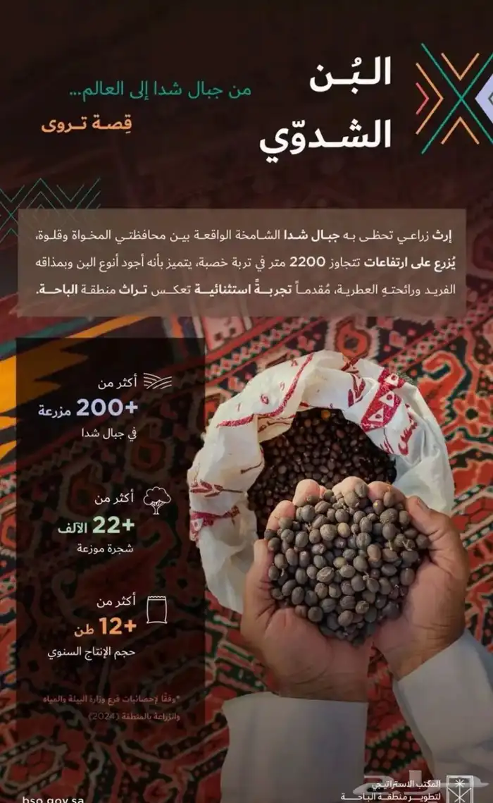 بن شدوي صالبي فاخر من مزارع جبال شدا الأعلى 3