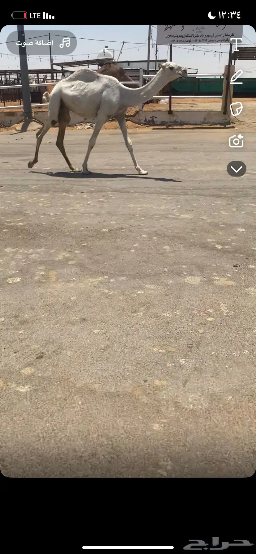 للبيع البكره المفرود الباتلي 3