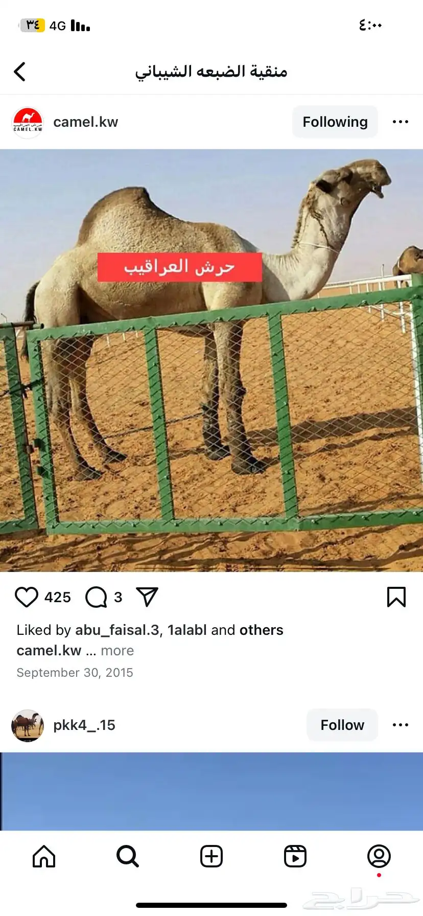للبيع البعير ادلم على الضبعه 1