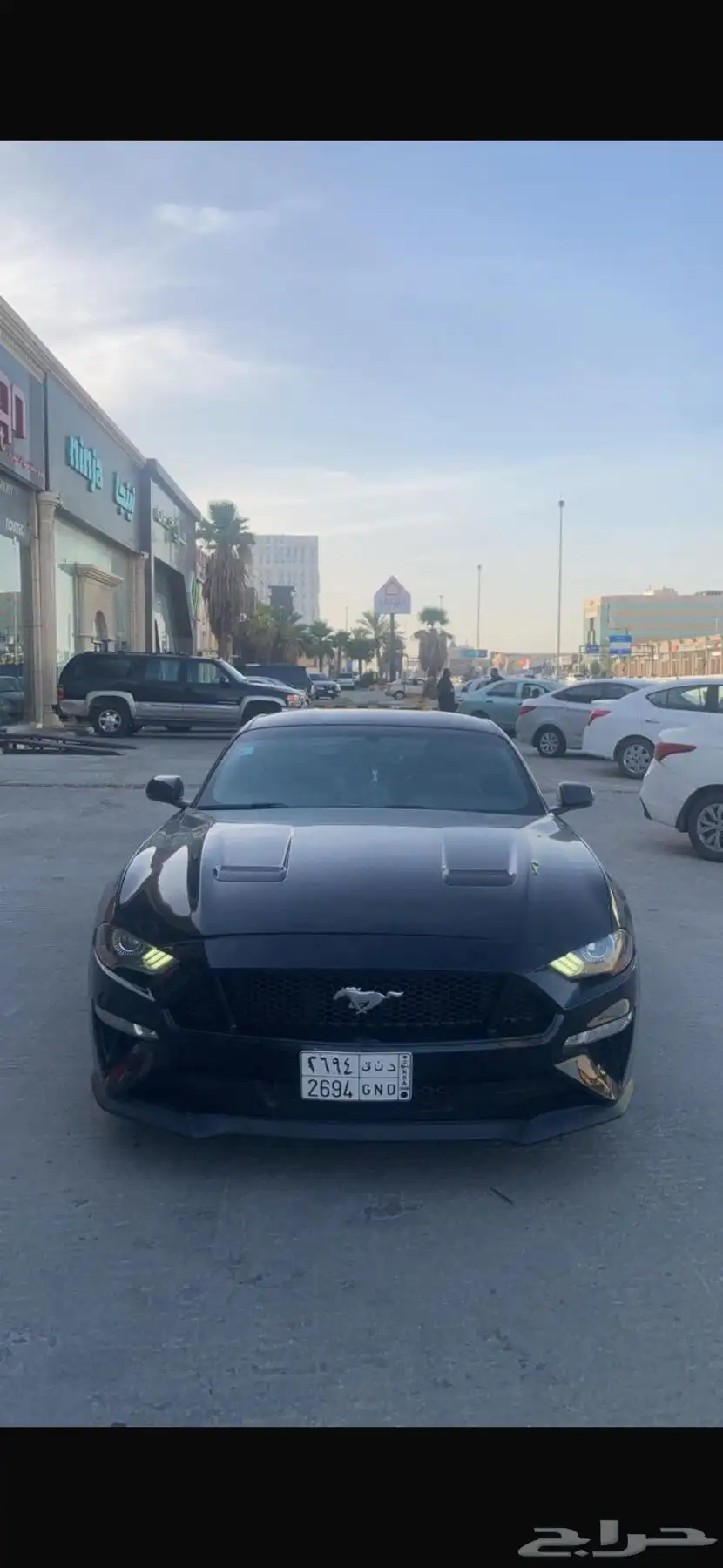 موستنق 2019 Gt premium 0