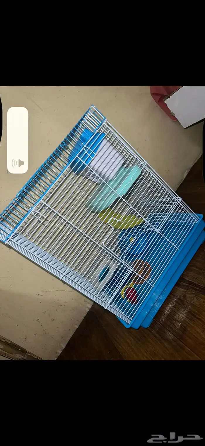 حيوانات أليفة هامستر 18