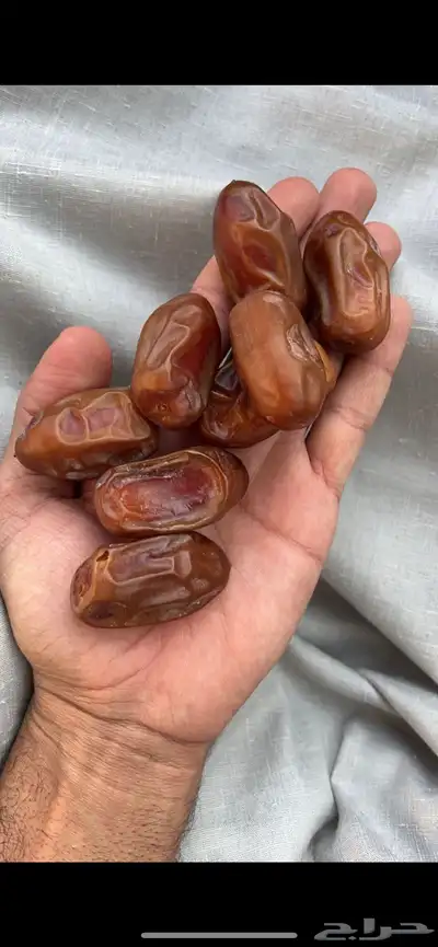 مسوق تمور سري خلاص دقل وادي الدواسر السليل 1