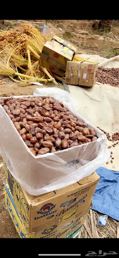 مسوق تمور سري خلاص دقل وادي الدواسر السليل 0