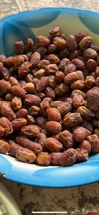 مسوق تمور سري خلاص دقل وادي الدواسر السليل 2