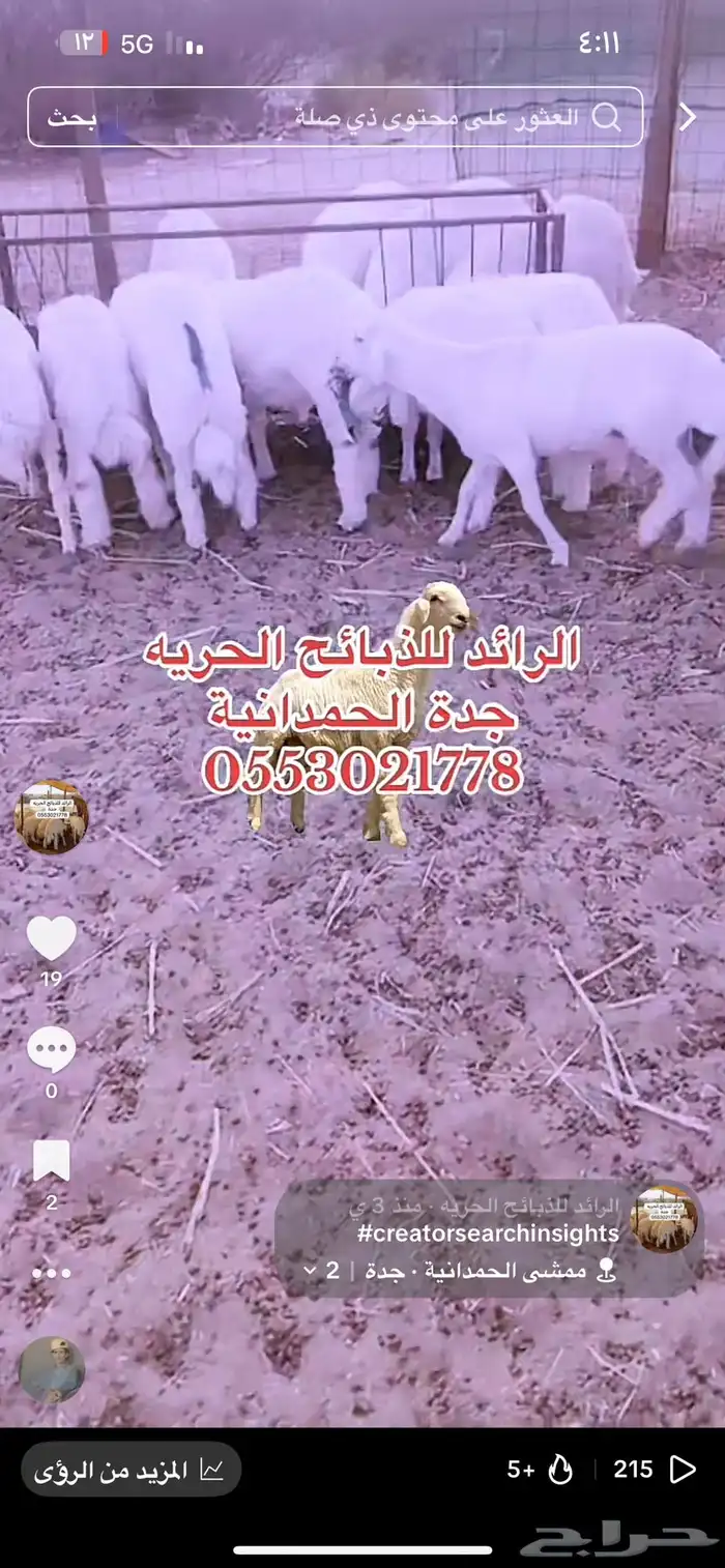 ذبايح الرائد الحرية 2