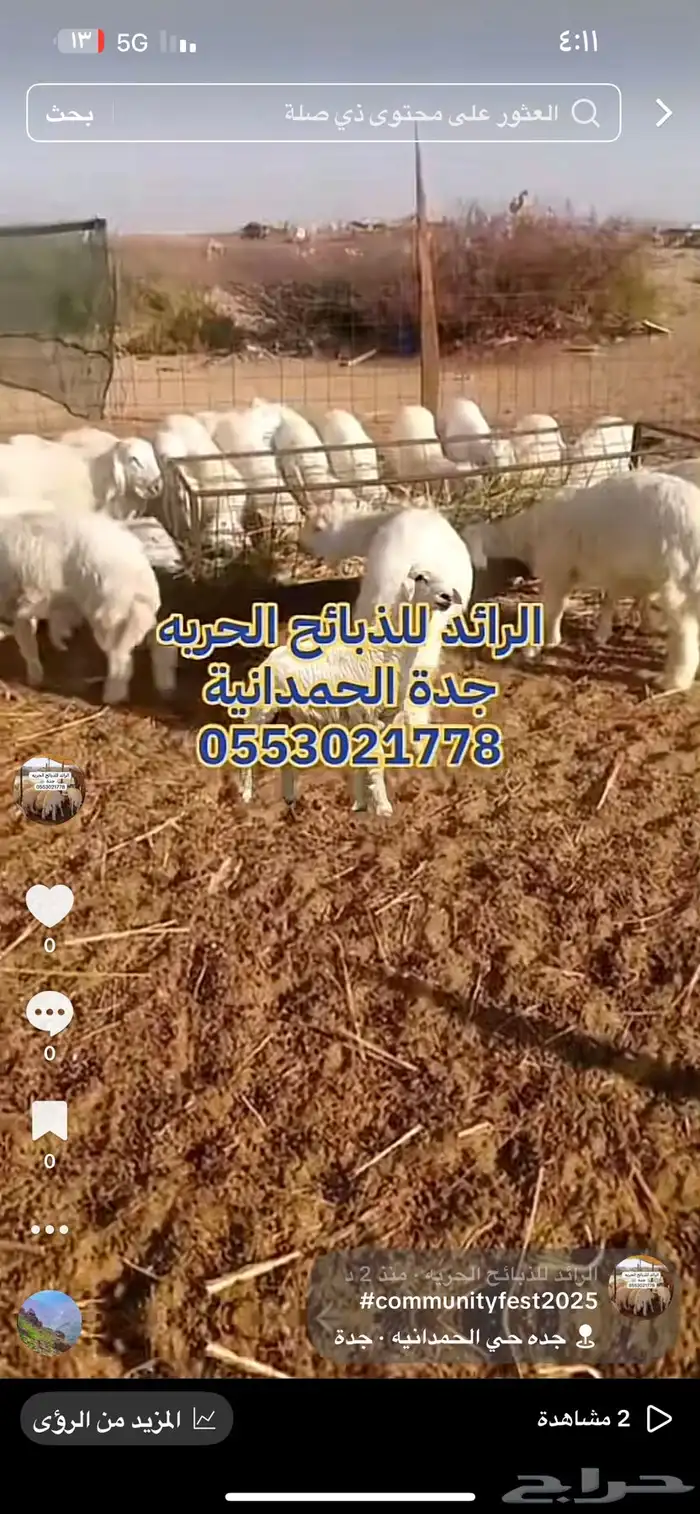 ذبايح الرائد الحرية 1