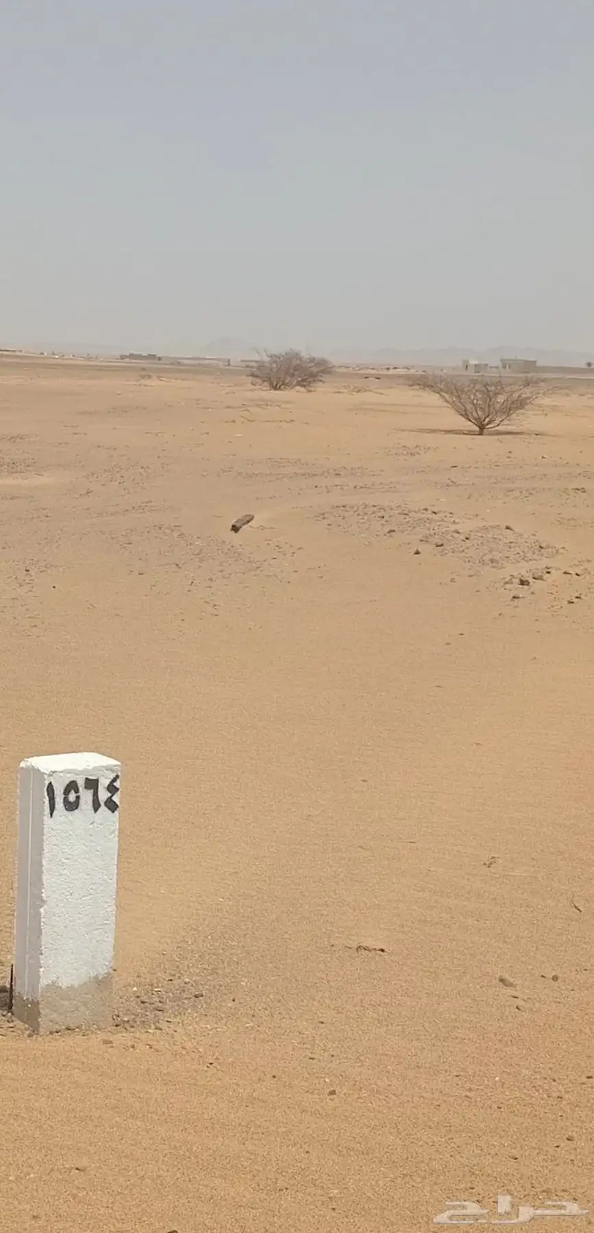 ارض للبيع مساحة 450م في مخطط الهجرة ب الشمالي شارع25 0