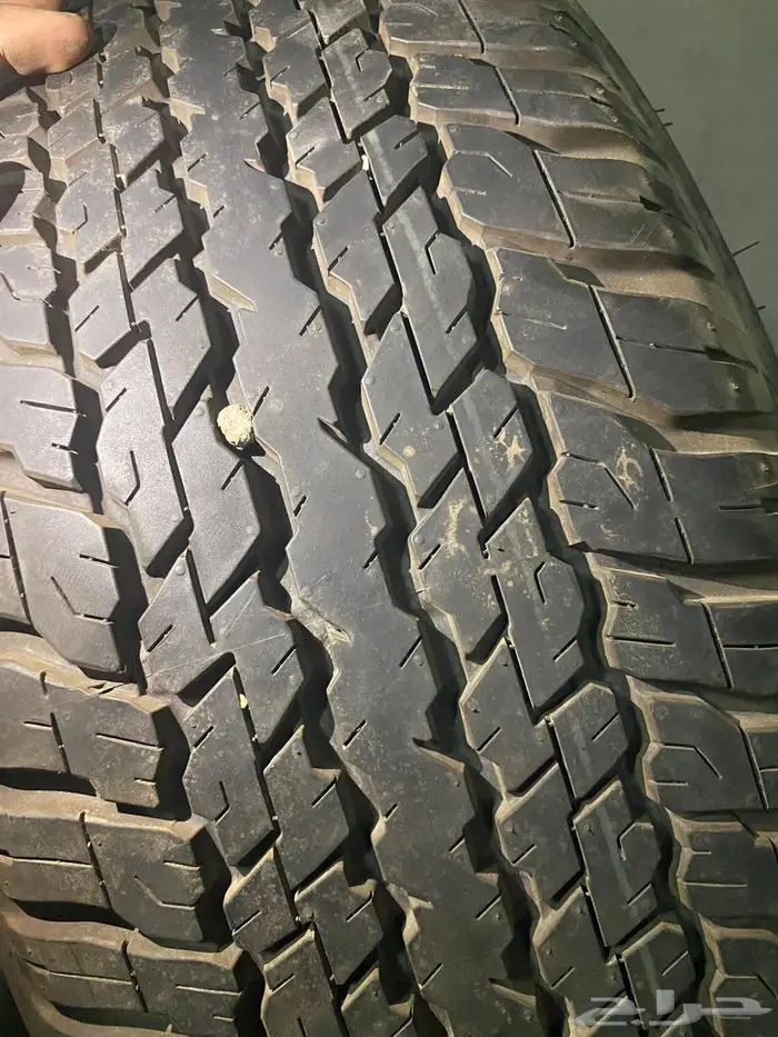 جنوط فورشنر منزلات اصفار 2025 1