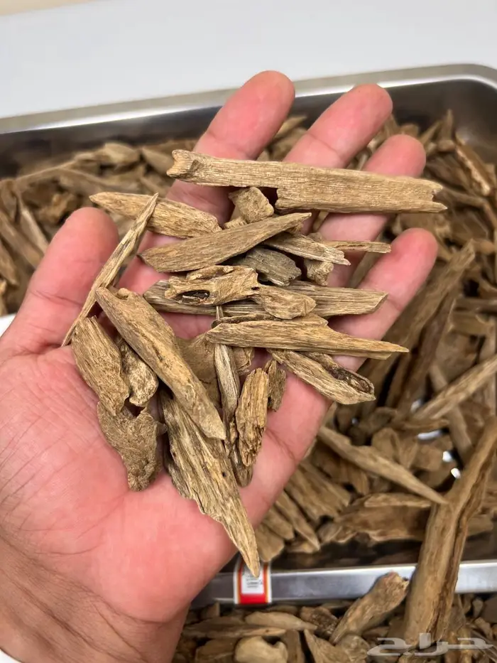 عود آمبون طبيعي 1