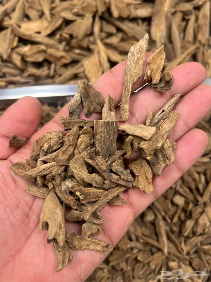 عود آمبون طبيعي 0