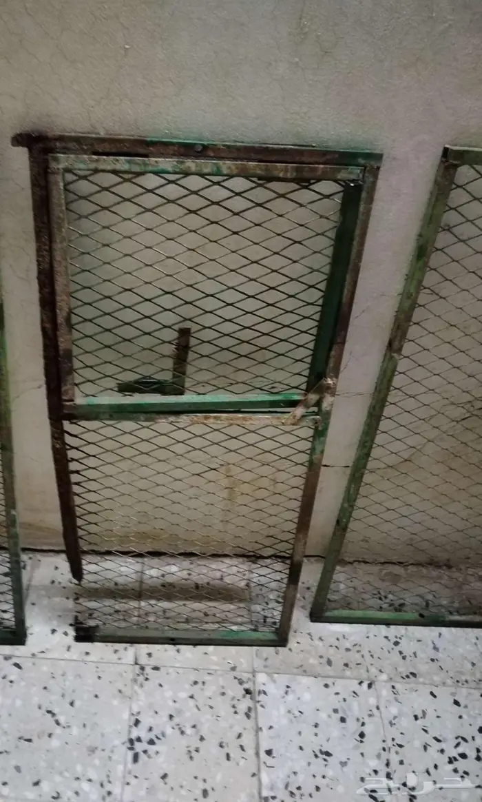 شبك دجاج 2