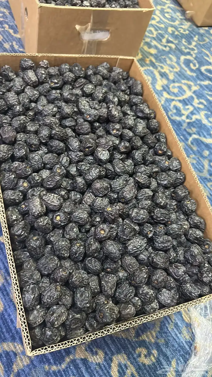 عجواء انتاج السنه هاذي 1