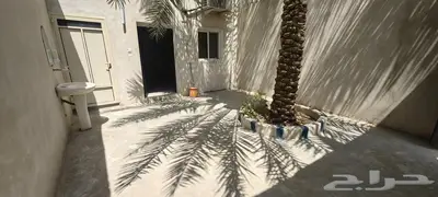 جلسه شباب للإيجار الشهري بالأحساء وسط بلدة البطالية 1