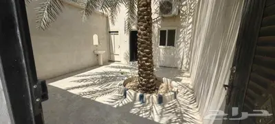 جلسه شباب للإيجار الشهري بالأحساء وسط بلدة البطالية 0