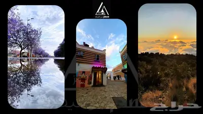 تصميم جرافيك   مونتاج فيديو احترافي 18
