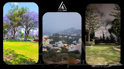 تصميم جرافيك   مونتاج فيديو احترافي 20