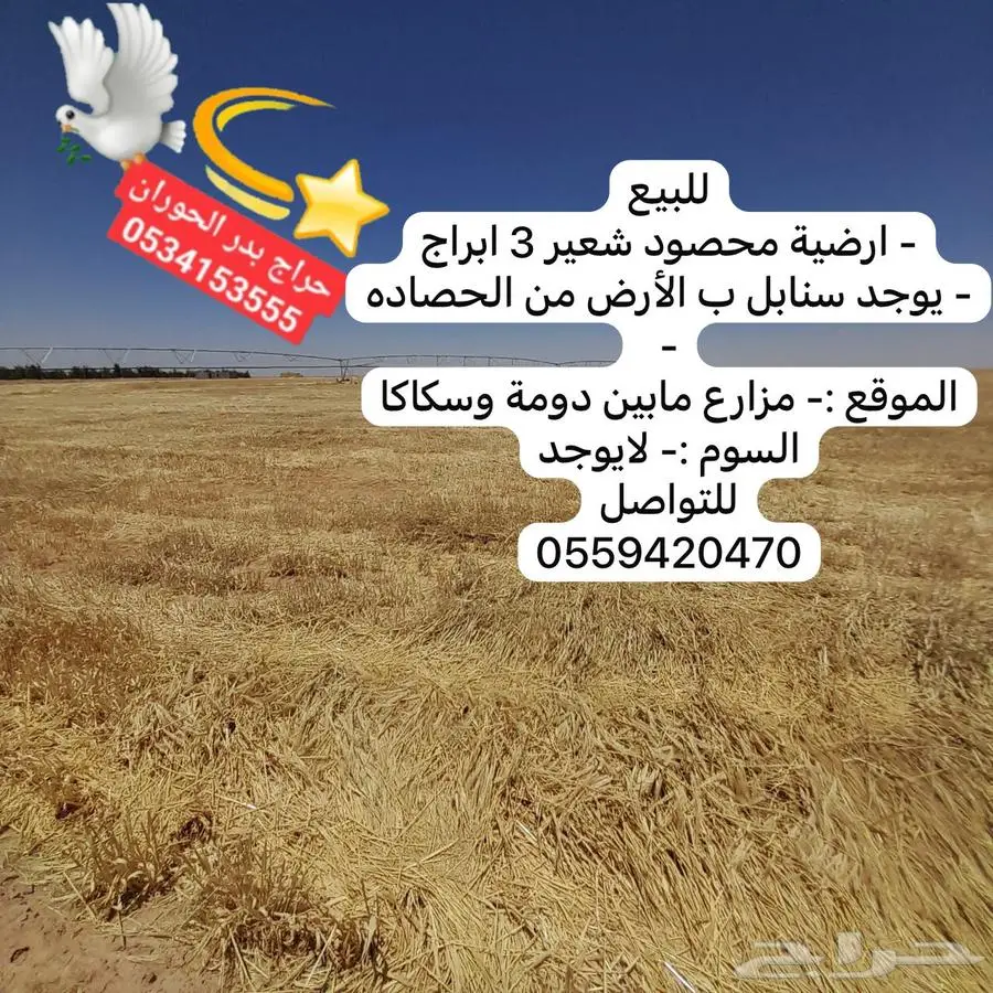 ارضية رشاش 3 ابراج محصيد شعير فيه سنابل كذالك تبن شعير 0