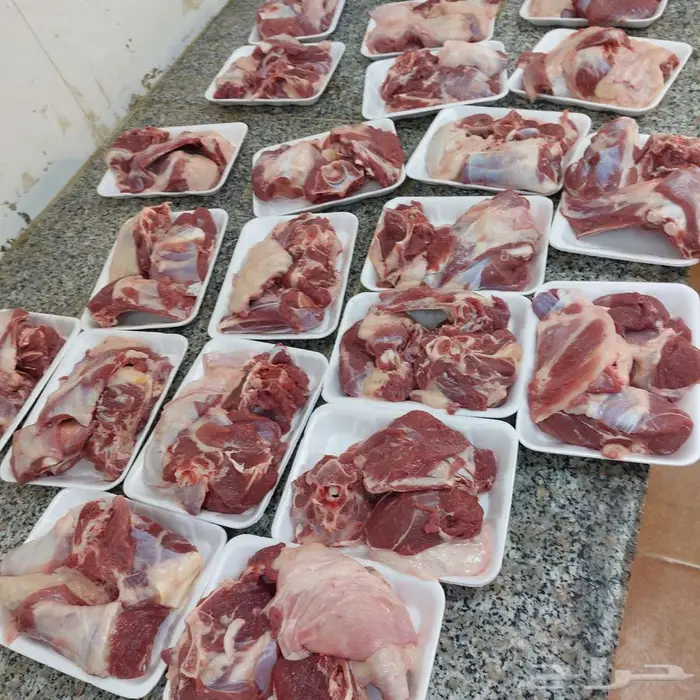 سواكني حمري تربية وغنم نظيفة مع الذبح والتوصيل 1