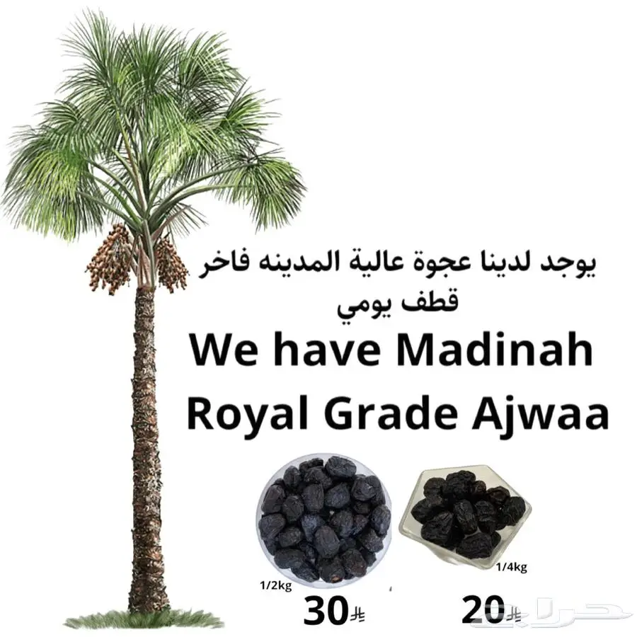 تمر رطب عجوة المدينة 1
