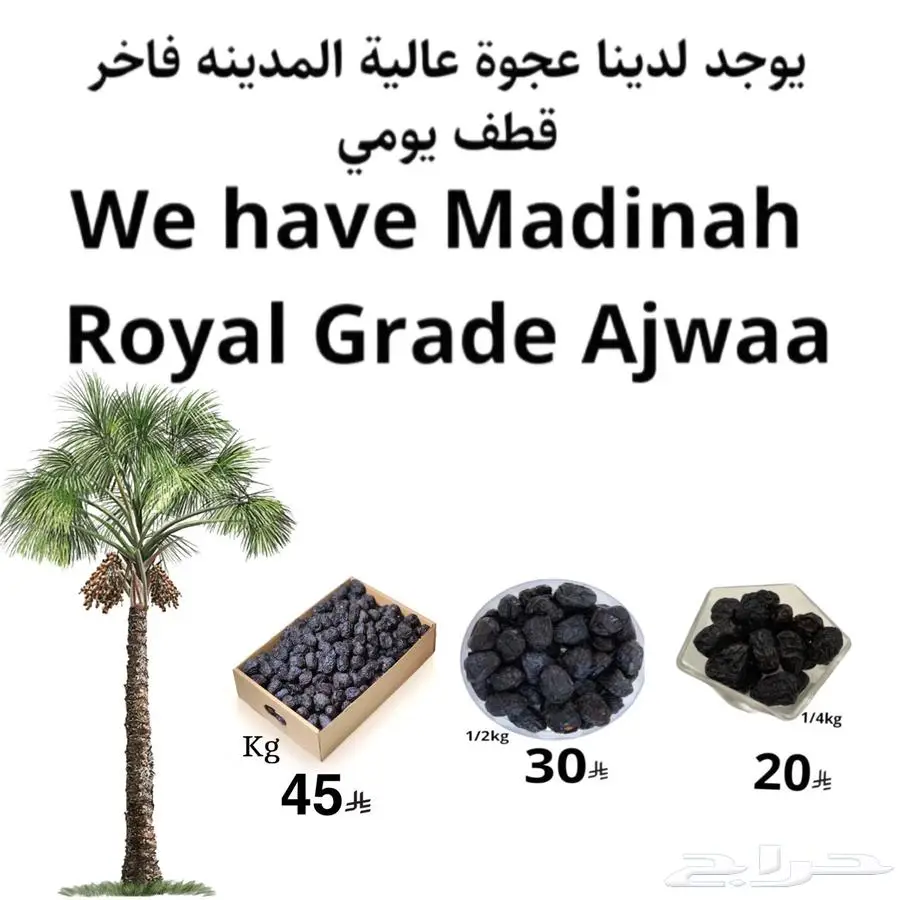 تمر رطب عجوة المدينة 0