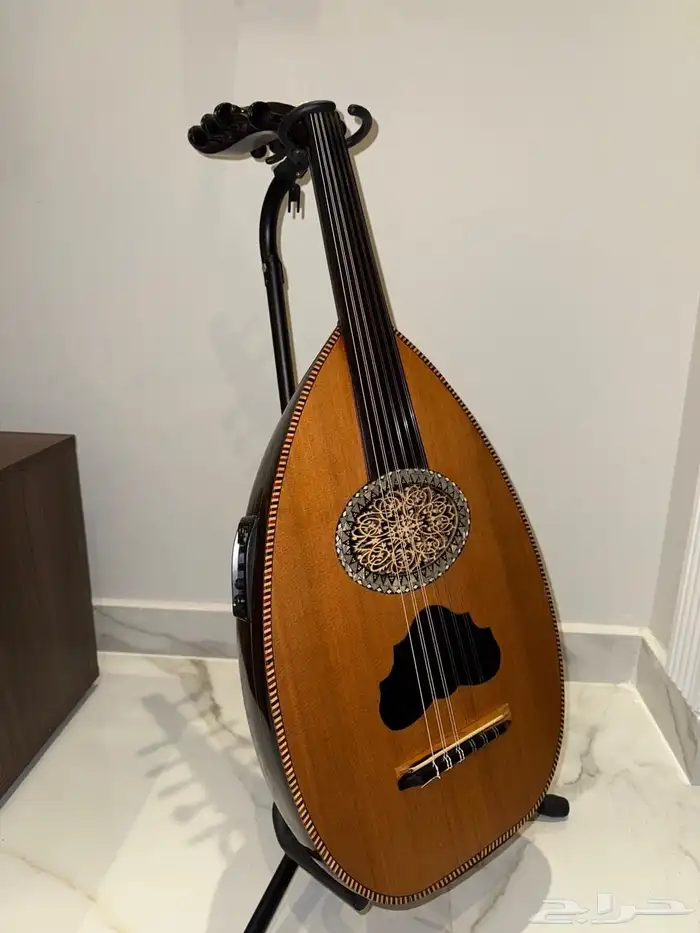 للبيع عود 8