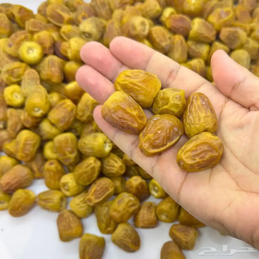 تمر سكري فاخر مفتل   جالكسي 2