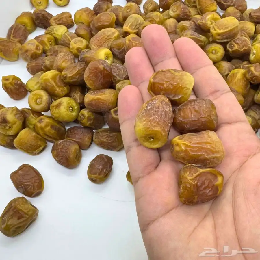 تمر سكري فاخر مفتل   جالكسي 0