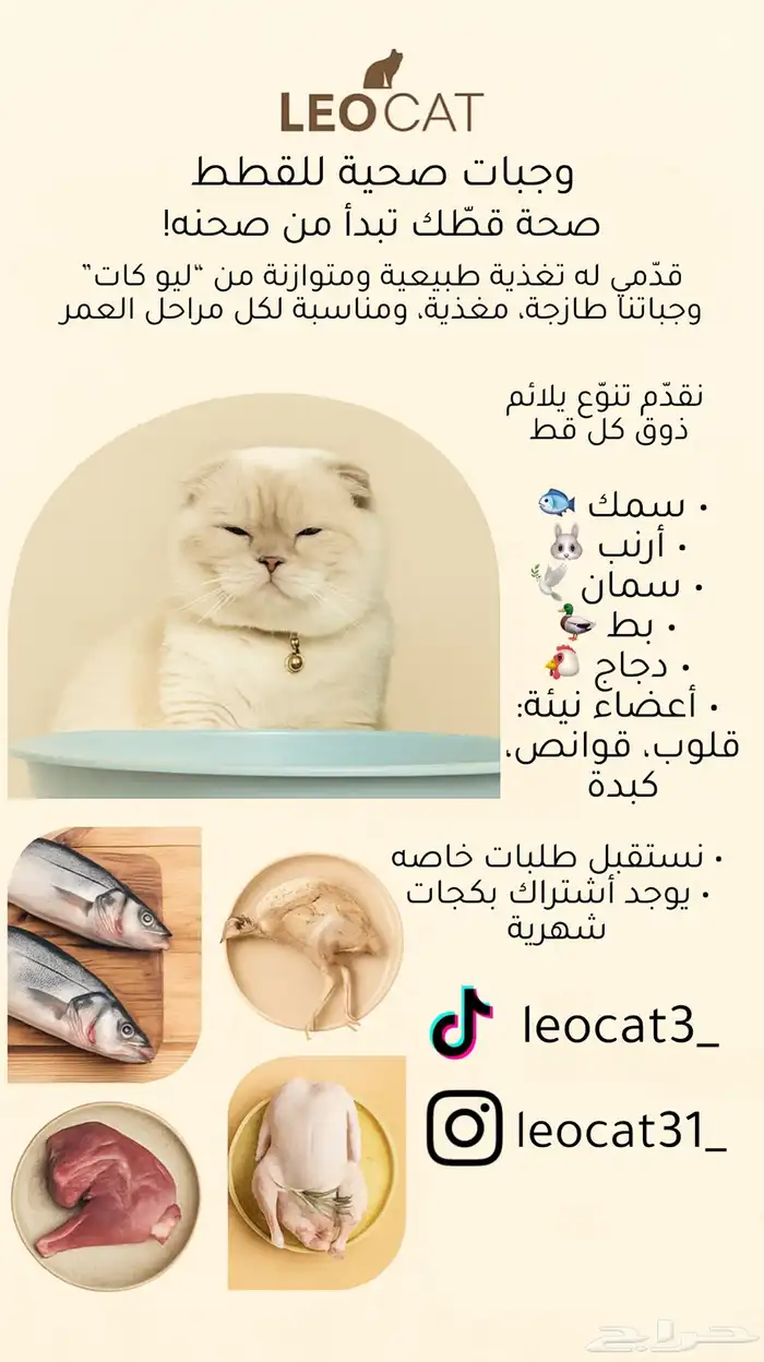 وجبات و رمل قطط 0