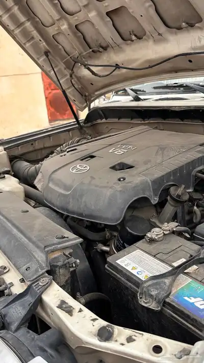اف جي 2009 نظيف 14